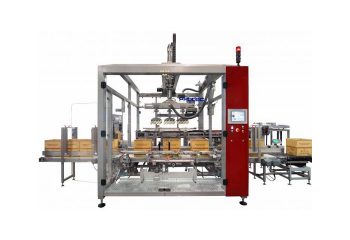 Markindo-Prodec Top Loading Case Packer D-600 01